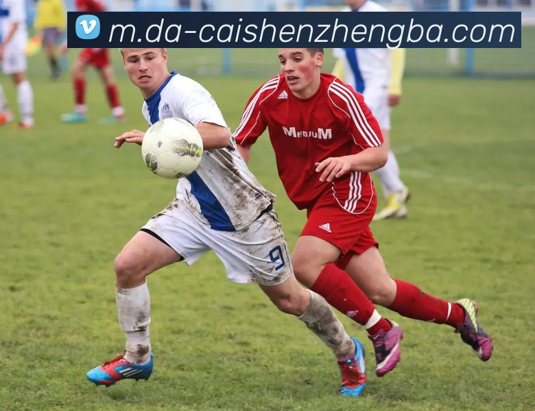 App界面